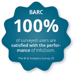 Infozoom-BIA-Survey-25-additional-insights-performance-satisfaction